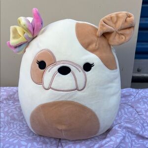 #62 Squishmallows Cream and Tan Dog Plush Toy